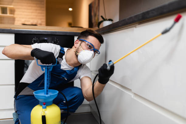 Best Mosquito Control Services  in Little River, SC