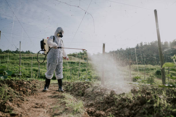 Best Pest Removal Services  in Little River, SC