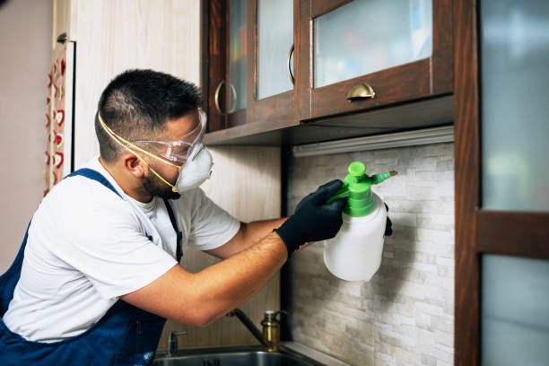 Best Affordable Pest Control Services  in Little River, SC