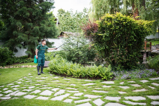 Best Residential Pest Control  in Little River, SC