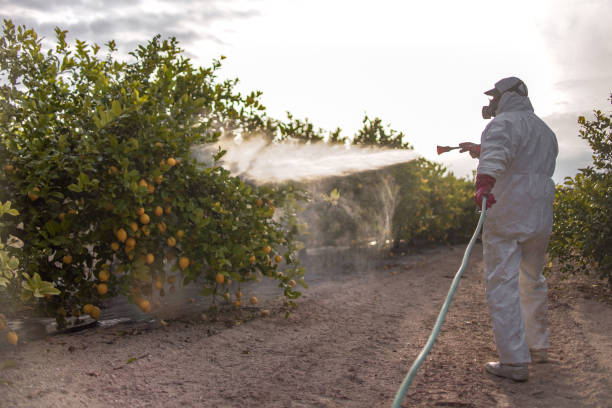 Best Wildlife Control Services  in Little River, SC