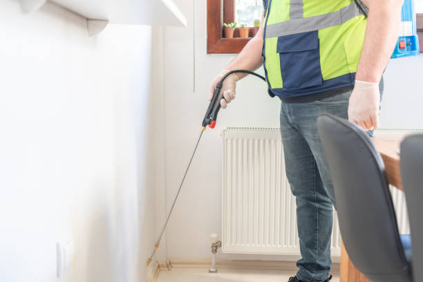 Best Local Pest Control Services  in Little River, SC